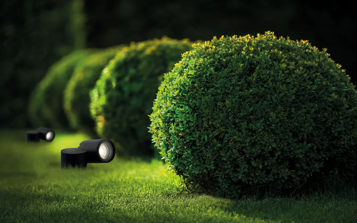 Oświetlenie ogrodu: praktyczne pomysły na stworzenie uroczego zakątka przez cały rok