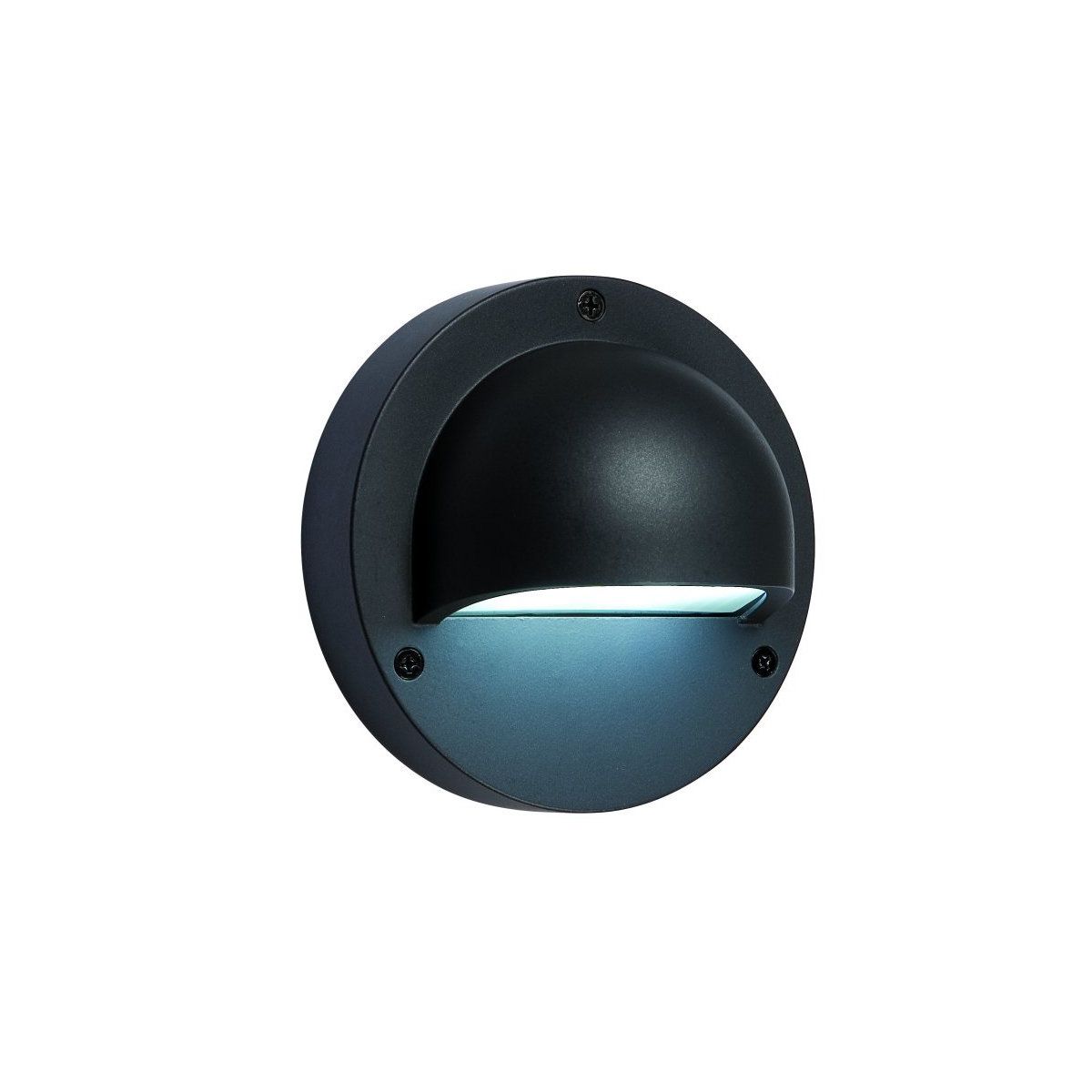 DEIMOS-3132011-Garden Lights-23066