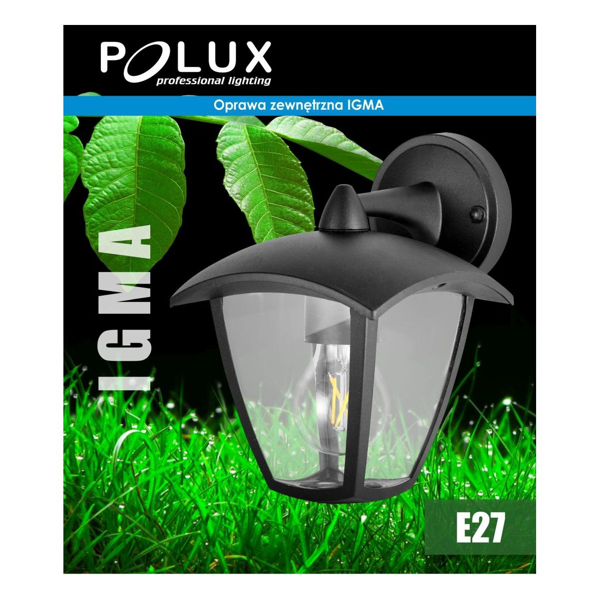 IGMA-311870-Polux-171020