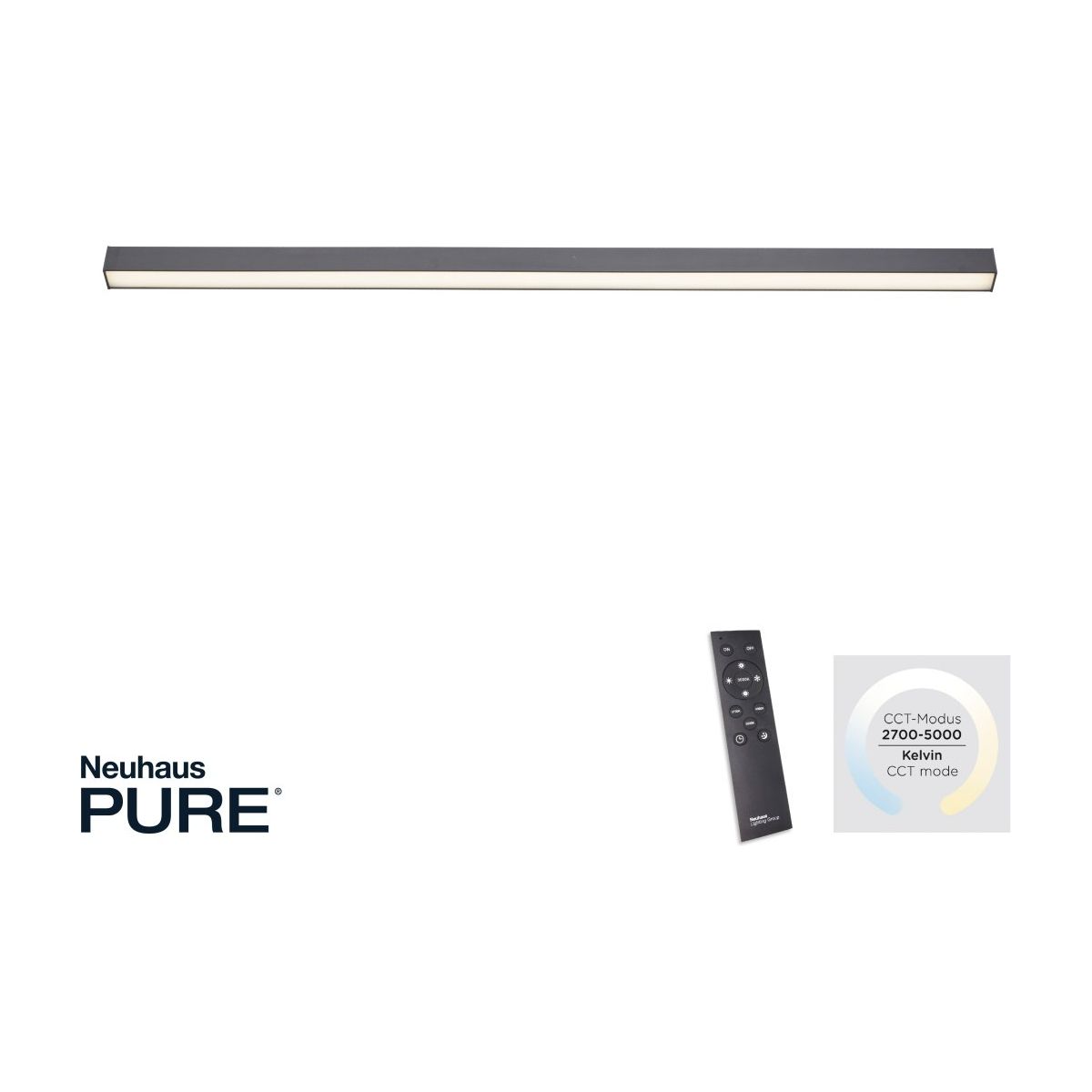 PURE-LINES-6021-13-Paul Neuhaus-251224