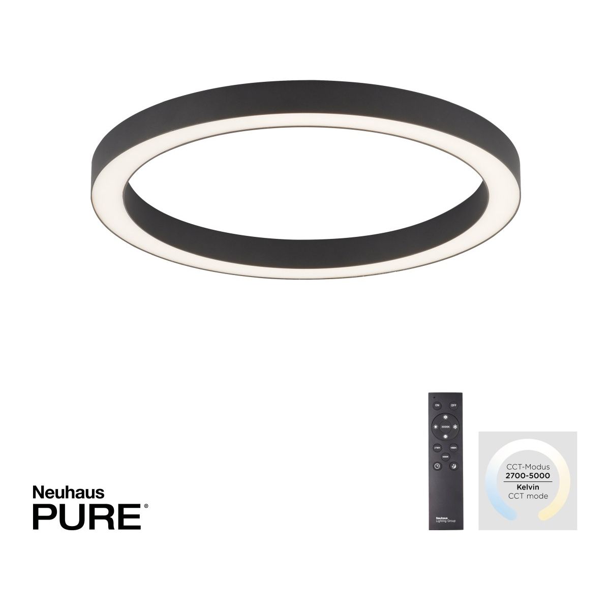 PURE-LINES-6309-13-Paul Neuhaus-250670