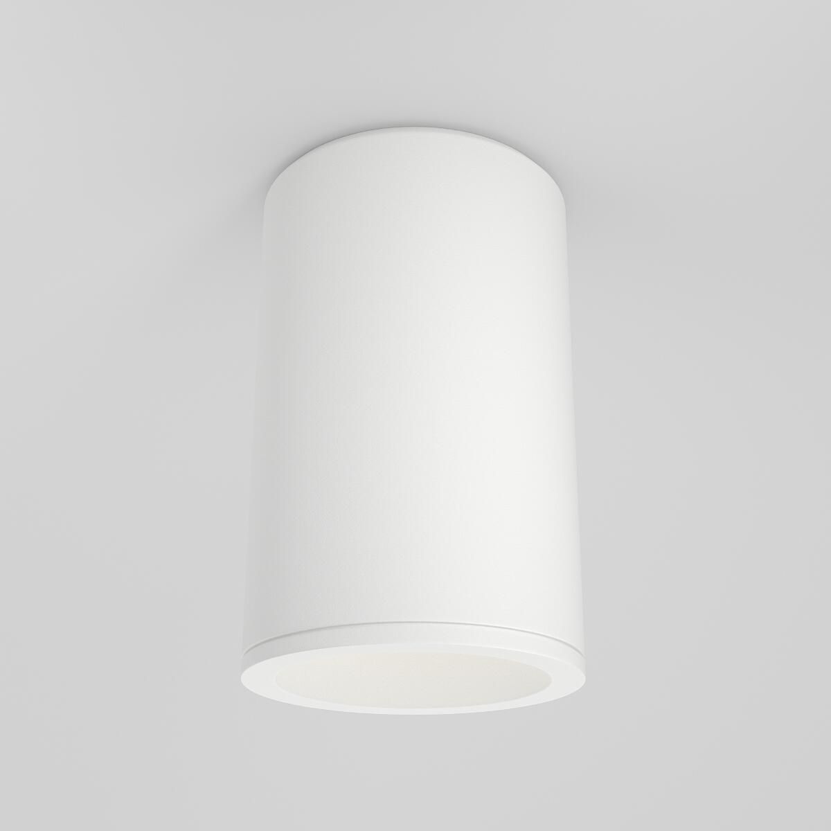 Zoom-C029CL-01-S-W-Maytoni-214314