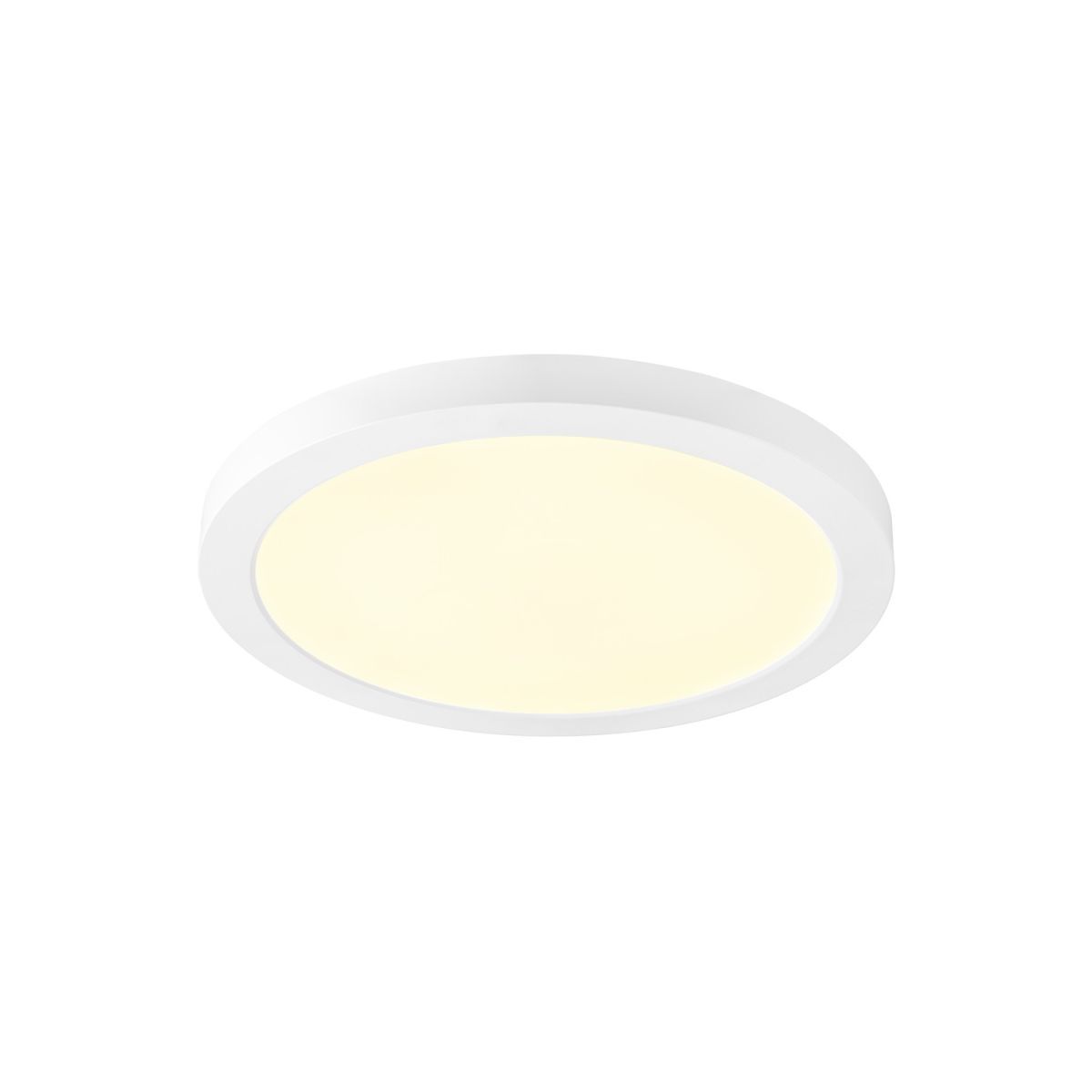 DOWNLIGHT VARIO-1010398-SLV-254490