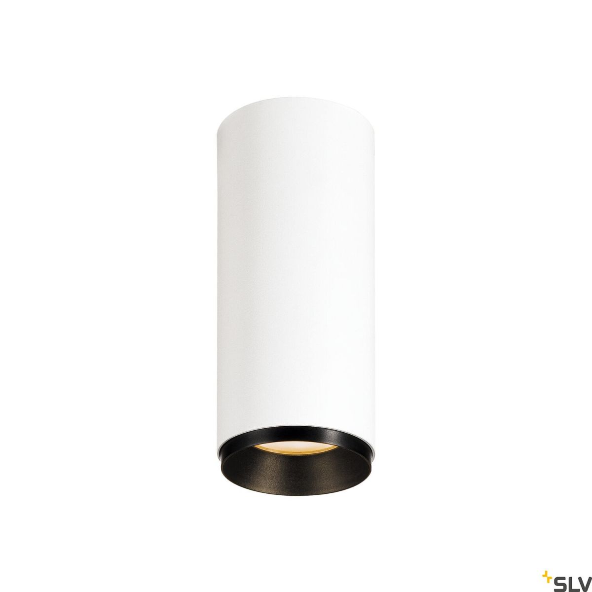 NUMINOS® CL PHASE S-1004128-SLV-171701