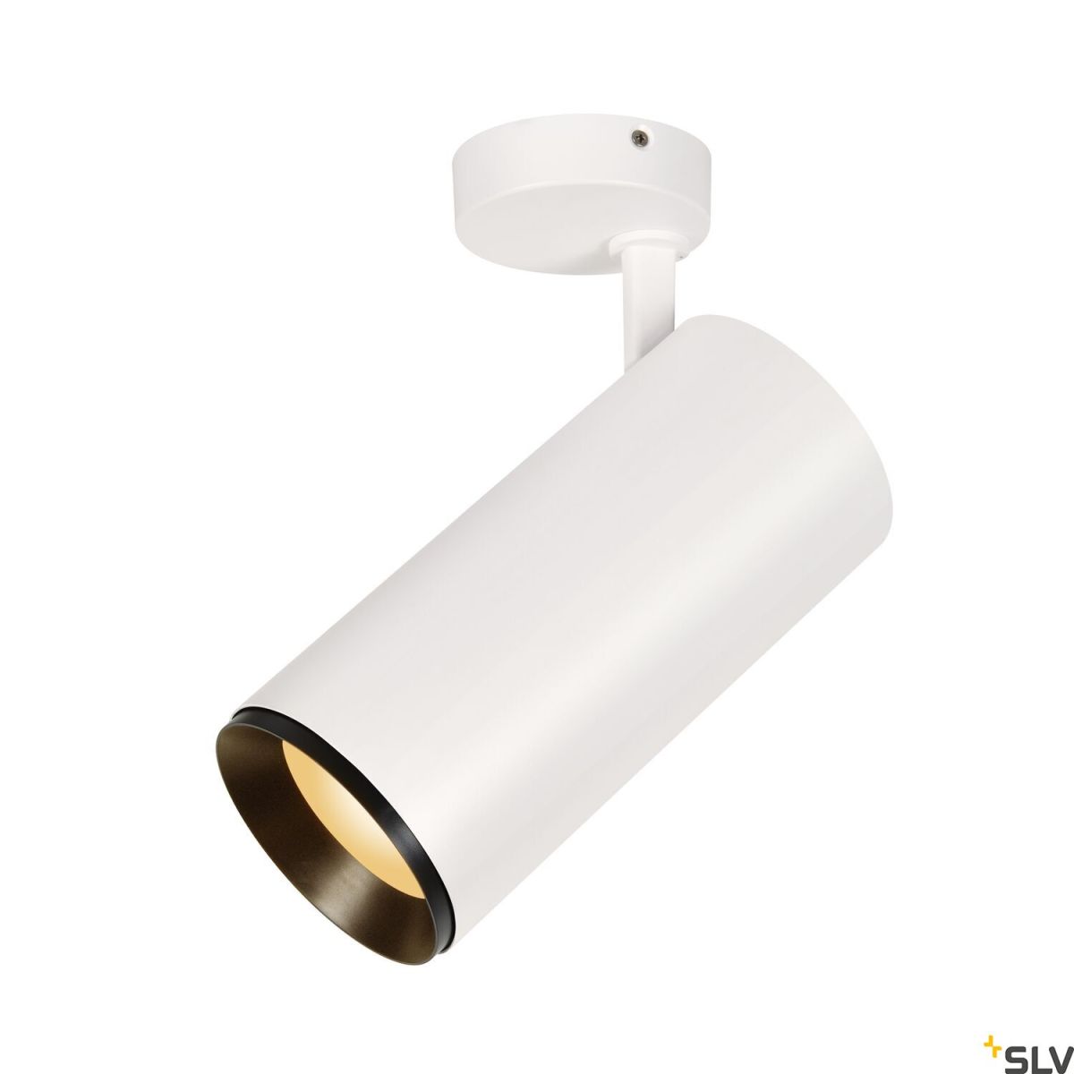 NUMINOS® SPOT DALI XL-1005745-SLV-195664