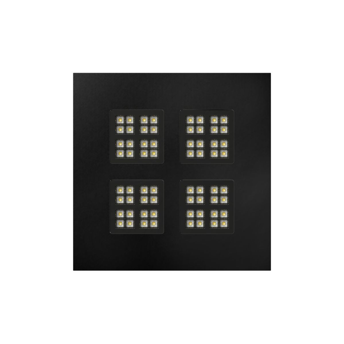 PAVANNO-1010716-SLV-254635