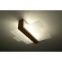 Plafon SL.0076 FENIKS 2 od SOLLUX