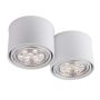 Downlight natynkowy Miki 7019 2x15W/Gu10 IP20 od Shilo