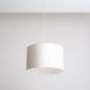 Lampa wisząca BARILLA 1089G 1x60W/E27 od Aldex