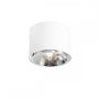 Downlight natynkowy BOT 1046PL_G 1x35W/GU10/ES111 od Aldex