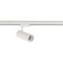 Reflektor szynowy CTLS TINOS LED 10391 3000K 1x20W/led 250lm IP20 od Nowodvorski