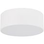 Plafon LIVO 10983 2x15W/E27 IP54 od TK Lighting