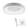 Lampa sufitowa ANIKA 14326-16 2700K-5000K 1x26,5W/LED CCT 1900lm IP20 od Paul Neuhaus