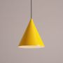 Lampa wisząca FORM MUSTARD 1108G14 1x60W/E27 IP20 od Aldex