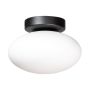 Lampa sufitowa OMI 1186 1x5W/G9 IP20 od Zuma Line