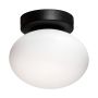 Lampa sufitowa OMI 1188 1x5W/G9 IP20 od Zuma Line