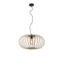 Lampa wisząca RACOON 11409-79 1x60W/E27 IP20 od Paul Neuhaus