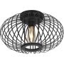 Lampa sufitowa RACOON 11410-18 5x40W/E27 ip20 od Paul Neuhaus
