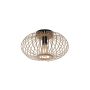 Lampa sufitowa RACOON 11410-79 1x40W/E27 IP20 od Paul Neuhaus