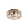 Lampa sufitowa RACOON 11412-79 1x40W/E27 IP20 od Paul Neuhaus