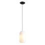 Lampa wisząca FLASK ORCHID M 8500G1_M 1x15W/E27 od Aldex