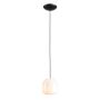 Lampa wisząca FLASK ORCHID S 8500G1_S 1x10W/E14 od Aldex