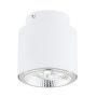 Downlight natynkowy NANO 1311/1 1x15W/GU10 AR111 IP20 od Emibig