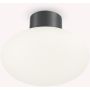 Lampa sufitowa CLIO 148861 1x42W/E27 ip44 od Ideal Lux