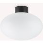Lampa sufitowa CLIO 148878 1x42W/E27 ip44 od Ideal Lux