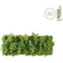 Kinkiet GREEN CARL 15637-66 3000k 6x6,5W/LED 780lm ip20 od Paul Neuhaus