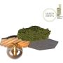 Lampa sufitowa GREEN HEX 15199-70 1x5W/G9 ip20 od Paul Neuhaus