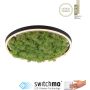 Lampa sufitowa GREEN RITUS 15391-66 3000k 1x20W/LED 630lm ip20 od Paul Neuhaus