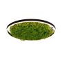 Lampa sufitowa GREEN RITUS 15392-66 3000k 1x28W/LED 960lm ip20 od Paul Neuhaus