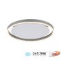 Lampa sufitowa RITUS 15391-95 3000K 1x20W/LED 900lm IP20 od Paul Neuhaus