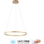 Lampa wisząca RITUS 15394-60 3000k 1x31,5W/LED 3650lm ip20 od Paul Neuhaus
