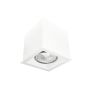 Downlight natynkowy Cage 1079 1x10W/GU10 IP20 od Antigo