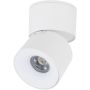 Spot SPARK 18168 3000/4000/6000 K 1x10W/LED 488lm IP20 od TK Lighting