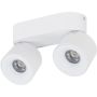 Spot SPARK 18171 3000/4000/6000 K 2x10W/LED 965lm IP20 od TK Lighting