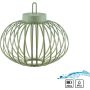 Lampa stołowa AKUBA 19304-43 2700k 1x1,5W/LED 130lm ip44 od Paul Neuhaus