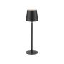Lampa stołowa BOTERIA 19251-18 3000K 1x2,5W/LED 180lm IP20 od Paul Neuhaus