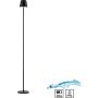 Lampa stojąca EURIA 19252-18 3000k 1x2,5W/LED 320lm ip54 od Paul Neuhaus