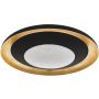 Plafon CANICOSA 2 98527 2700K-6500K 1x24,5W/LED 3000lm od Eglo