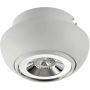 Downlight wpuszczany NEMO AZ3398 1x50W/GU10 od AZzardo