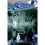 Lampa solarna 48513 SOLAR od Eglo