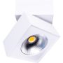 Downlight natynkowy ARTU C0106 3000k 1x15w/led 1000lm ip20 od Maxlight