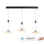 Lampa wisząca LAUTADA 2081-18 3000K 3x7,5W/LED 1800lm IP20 od Paul Neuhaus