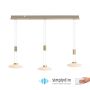 Lampa wisząca LAUTADA 2081-60 3000K 3x7,5W/LED 1800lm IP20 od Paul Neuhaus