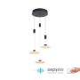 Lampa wisząca LAUTADA 2082-18 3000K 3x7,5W/LED 1800lm IP20 od Paul Neuhaus