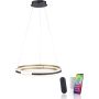Lampa wisząca Q-BELUGA 2051-60 2700-5000k 1x62W/LED 6900lm ip20 od Paul Neuhaus