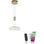 Lampa wisząca Q-ETIENNE 2075-60 2700-5000k 2x38,5W/LED 4350lm ip20 od Paul Neuhaus